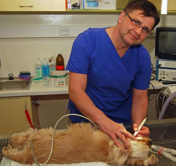 Ivanov háziállatának egészséges élete. Állatorvosi klinika